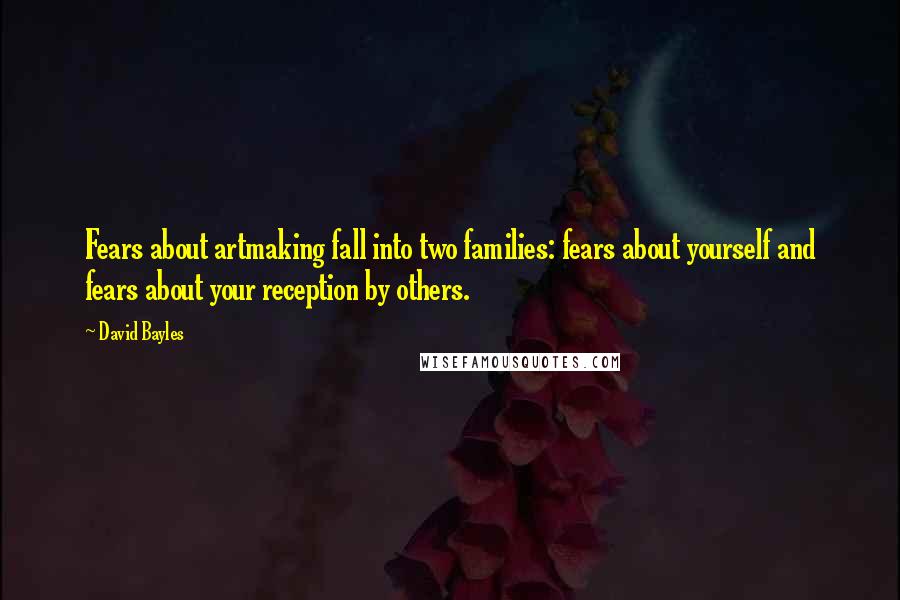 David Bayles Quotes: Fears about artmaking fall into two families: fears about yourself and fears about your reception by others.