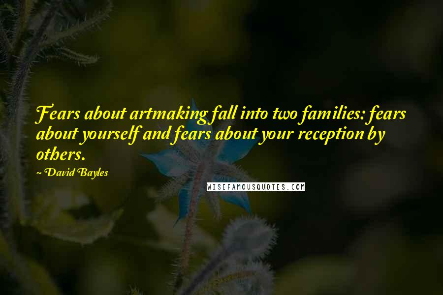 David Bayles Quotes: Fears about artmaking fall into two families: fears about yourself and fears about your reception by others.