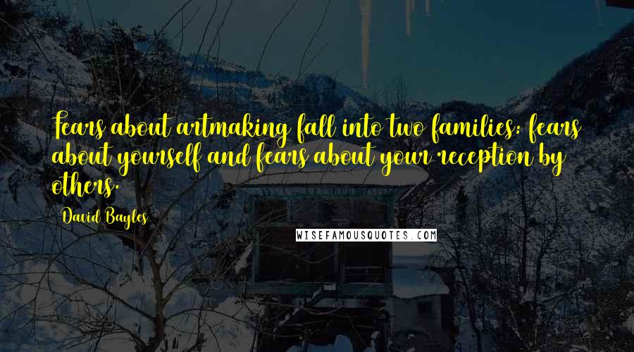 David Bayles Quotes: Fears about artmaking fall into two families: fears about yourself and fears about your reception by others.