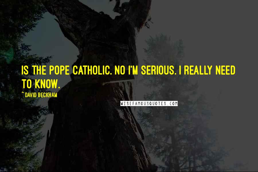 David Beckham Quotes: Is the Pope Catholic. No I'm serious. I really need to know.