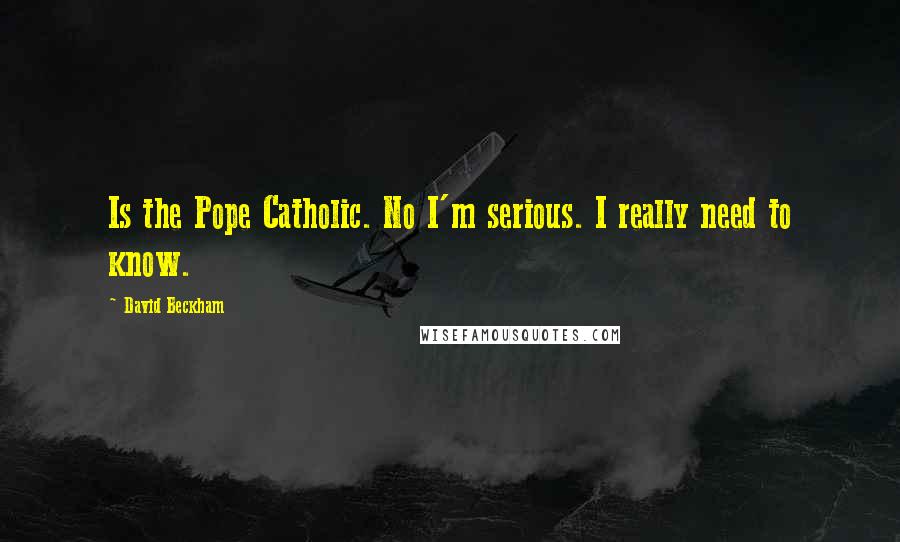 David Beckham Quotes: Is the Pope Catholic. No I'm serious. I really need to know.