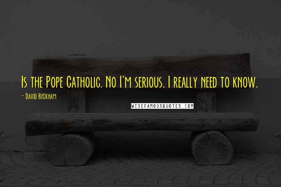 David Beckham Quotes: Is the Pope Catholic. No I'm serious. I really need to know.