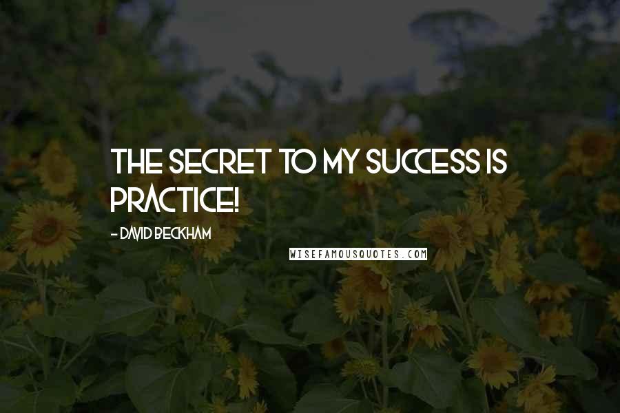 David Beckham Quotes: The secret to my success is practice!