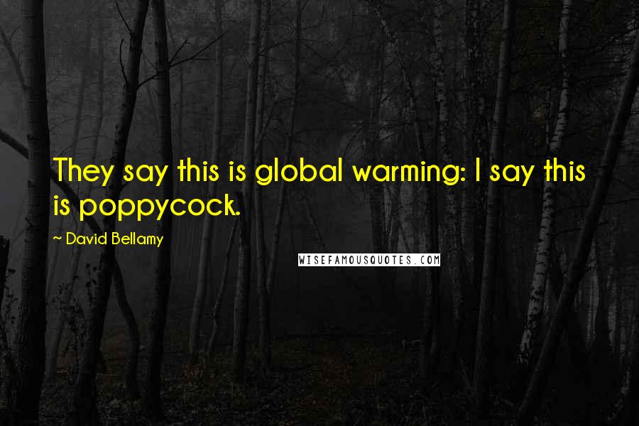 David Bellamy Quotes: They say this is global warming: I say this is poppycock.