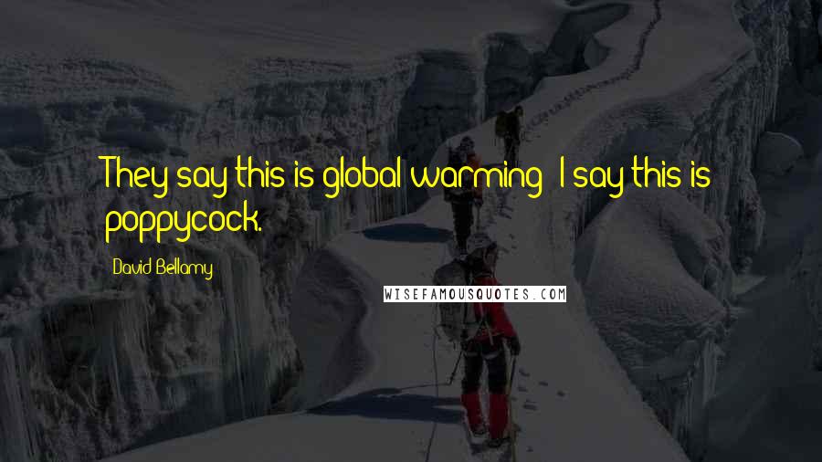 David Bellamy Quotes: They say this is global warming: I say this is poppycock.