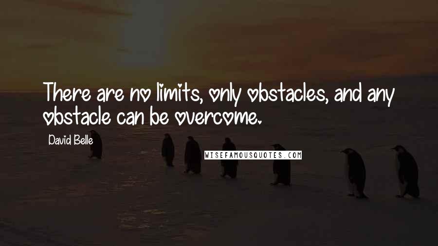 David Belle Quotes: There are no limits, only obstacles, and any obstacle can be overcome.