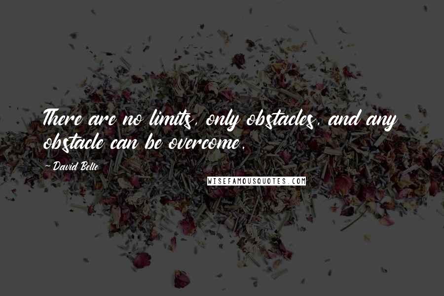 David Belle Quotes: There are no limits, only obstacles, and any obstacle can be overcome.