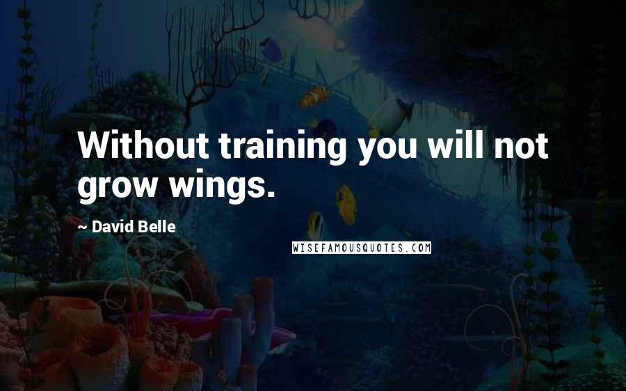 David Belle Quotes: Without training you will not grow wings.