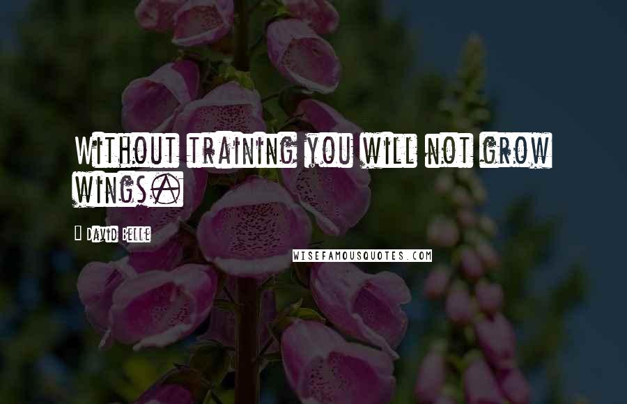 David Belle Quotes: Without training you will not grow wings.