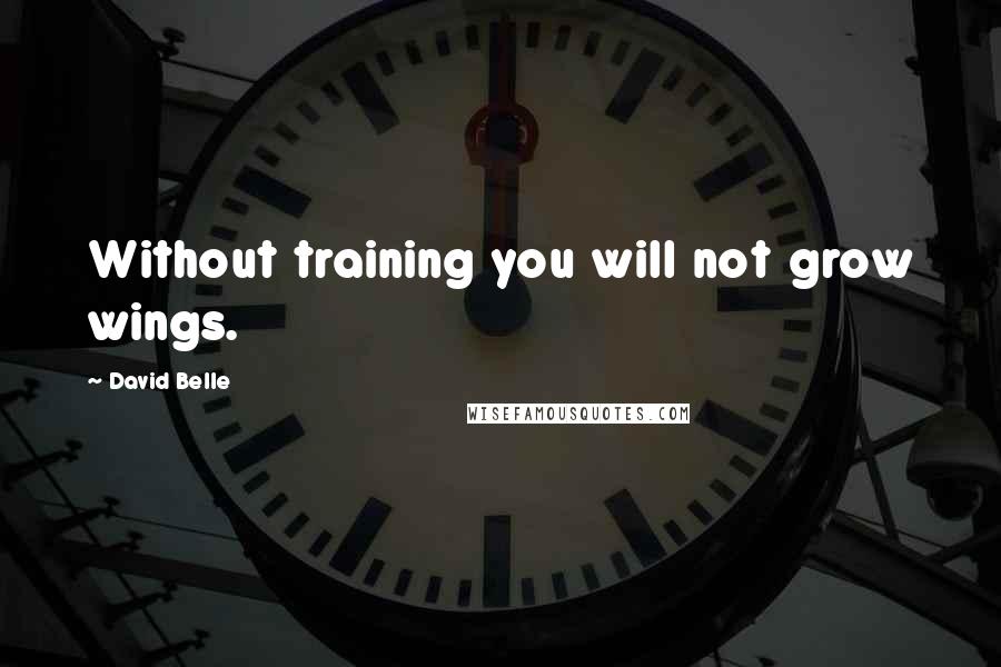 David Belle Quotes: Without training you will not grow wings.