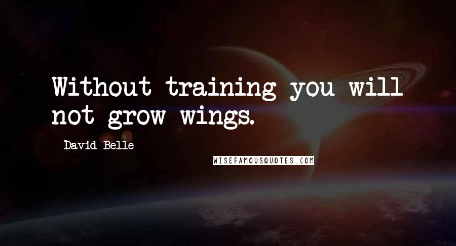 David Belle Quotes: Without training you will not grow wings.