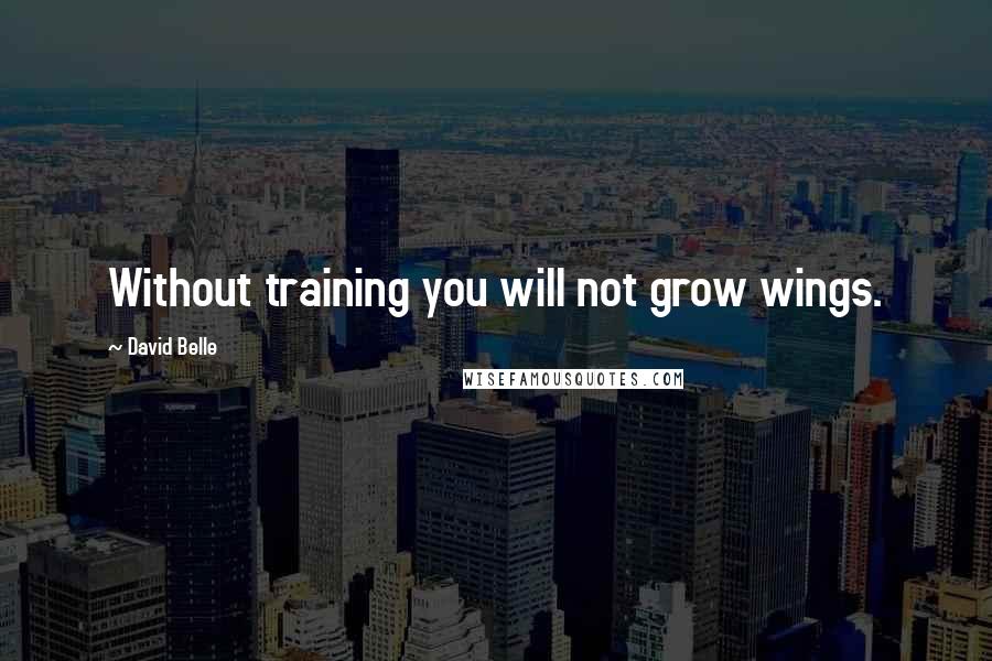 David Belle Quotes: Without training you will not grow wings.