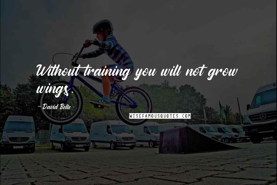 David Belle Quotes: Without training you will not grow wings.