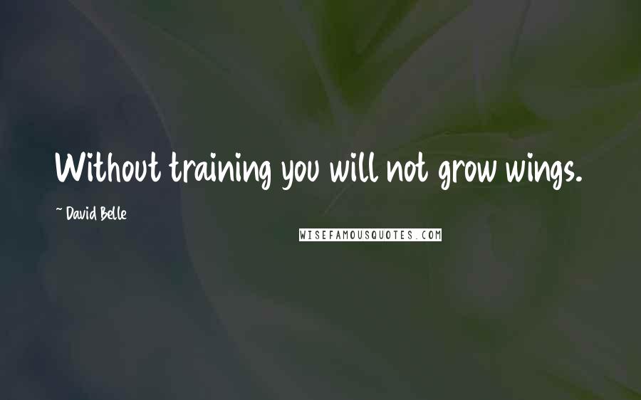 David Belle Quotes: Without training you will not grow wings.