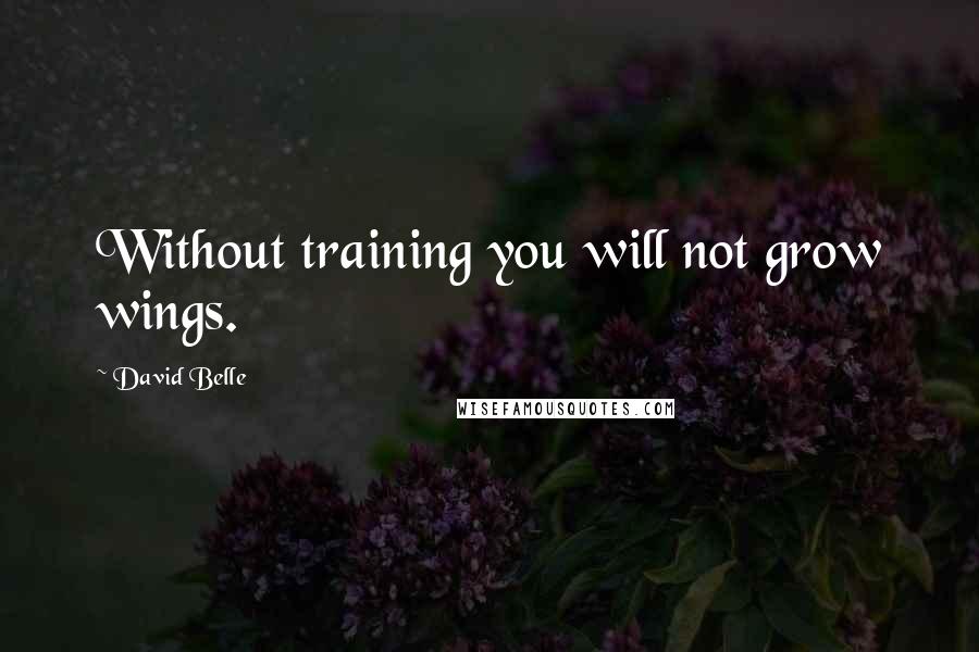 David Belle Quotes: Without training you will not grow wings.