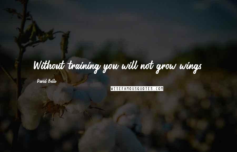 David Belle Quotes: Without training you will not grow wings.