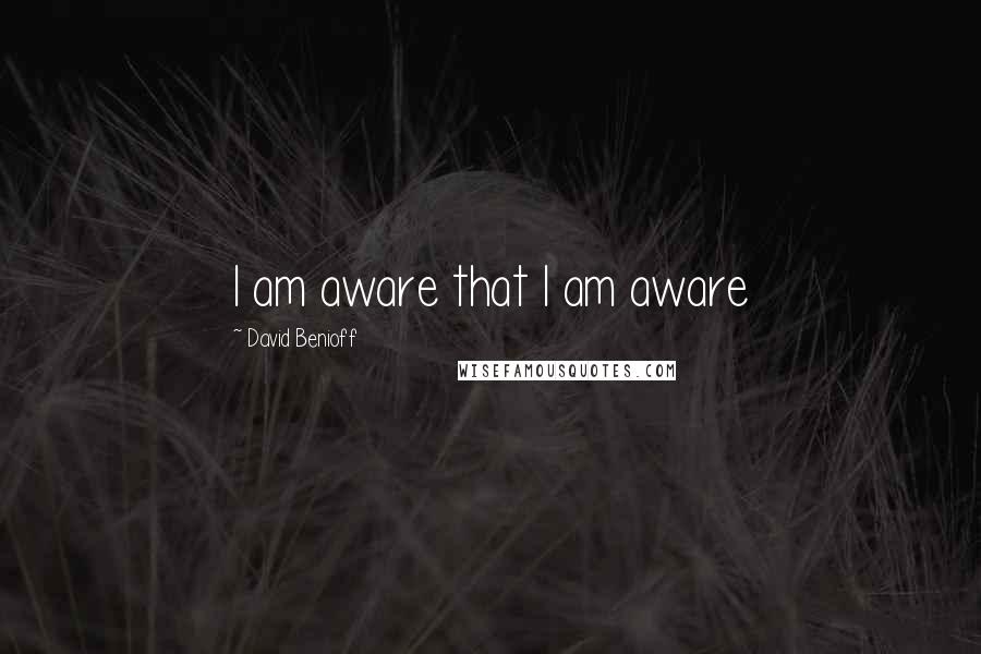 David Benioff Quotes: I am aware that I am aware