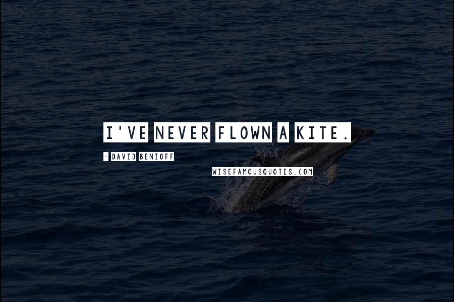 David Benioff Quotes: I've never flown a kite.