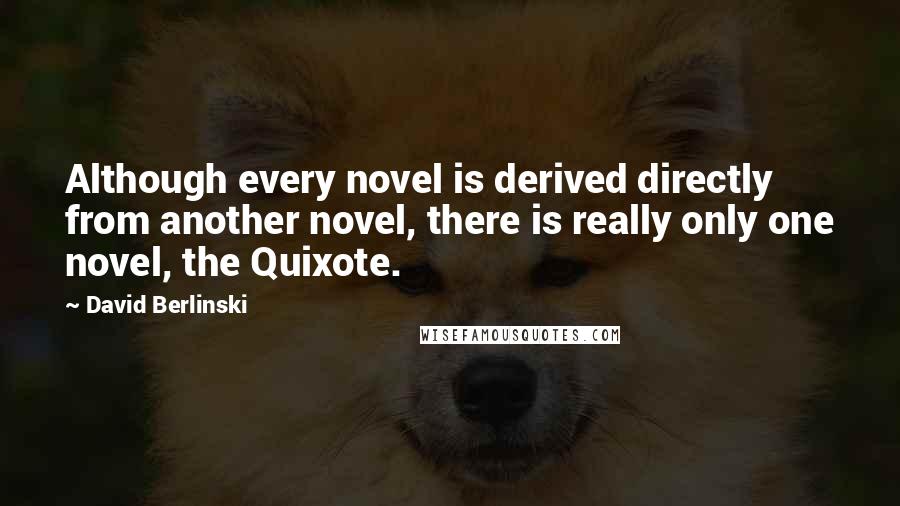 David Berlinski Quotes: Although every novel is derived directly from another novel, there is really only one novel, the Quixote.