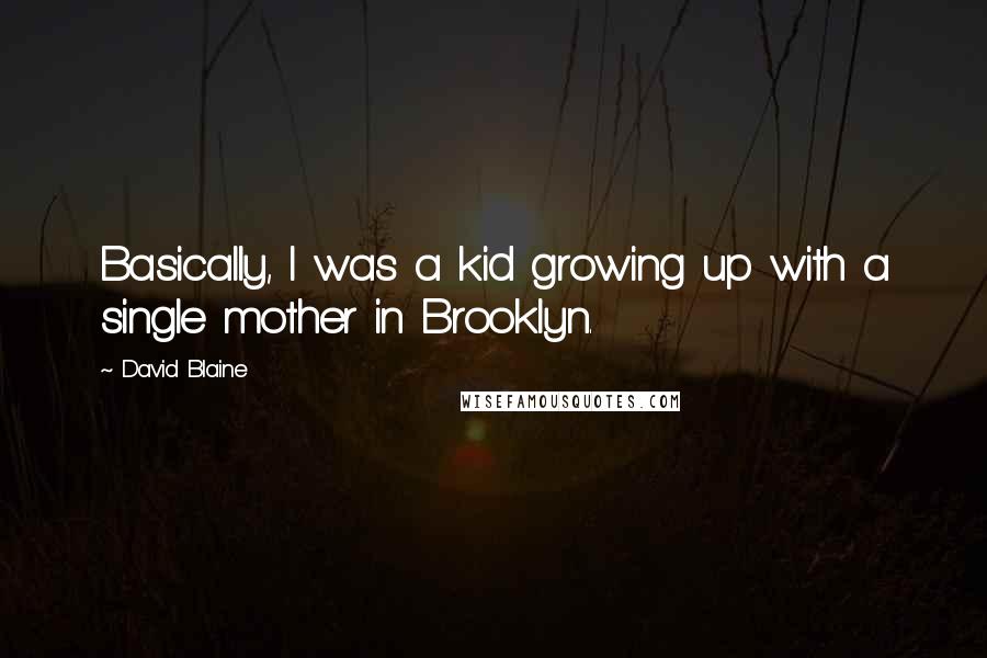 David Blaine Quotes: Basically, I was a kid growing up with a single mother in Brooklyn.