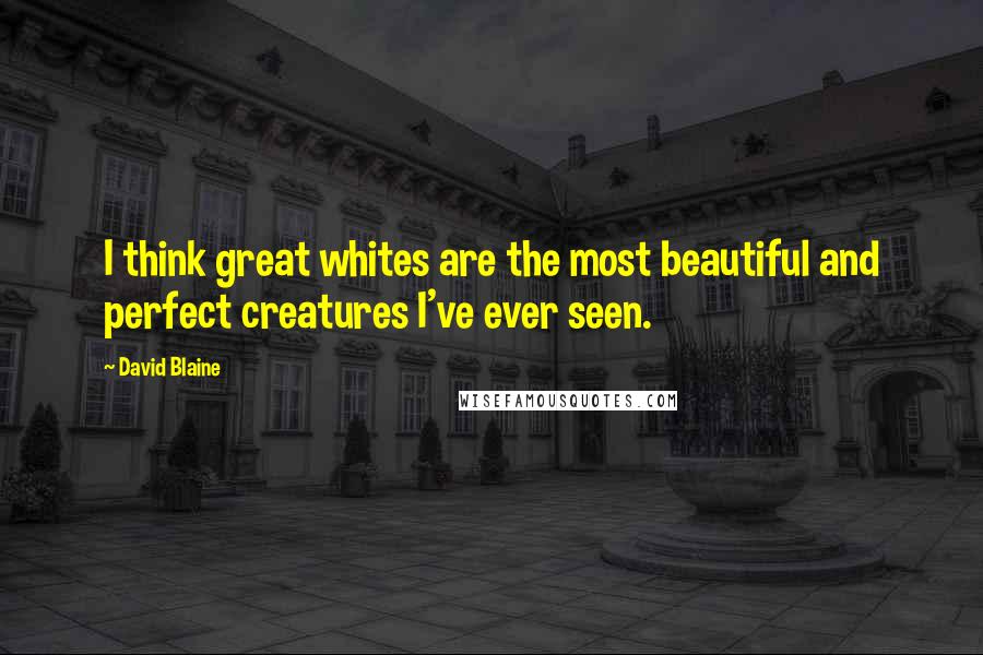 David Blaine Quotes: I think great whites are the most beautiful and perfect creatures I've ever seen.