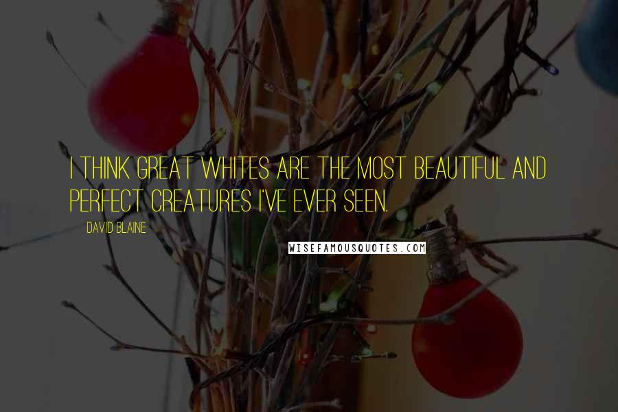 David Blaine Quotes: I think great whites are the most beautiful and perfect creatures I've ever seen.