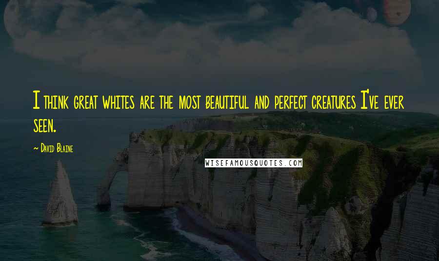 David Blaine Quotes: I think great whites are the most beautiful and perfect creatures I've ever seen.