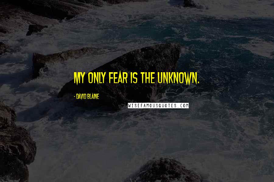 David Blaine Quotes: My only fear is the unknown.