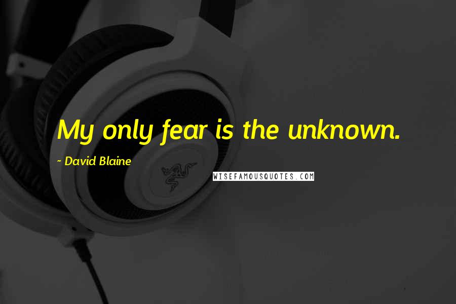 David Blaine Quotes: My only fear is the unknown.