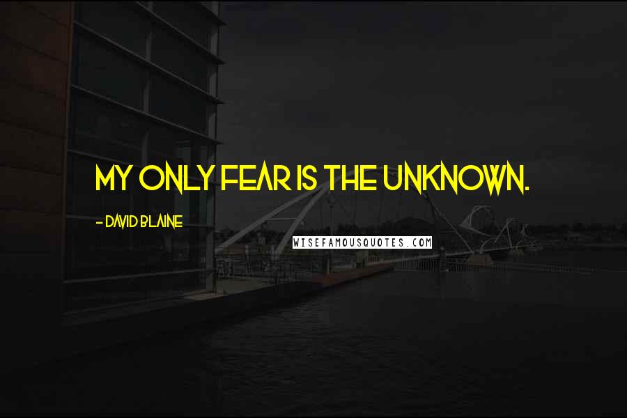 David Blaine Quotes: My only fear is the unknown.