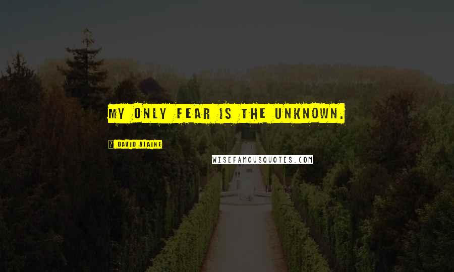 David Blaine Quotes: My only fear is the unknown.