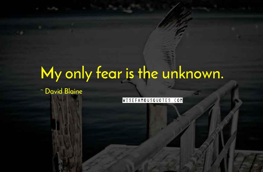 David Blaine Quotes: My only fear is the unknown.