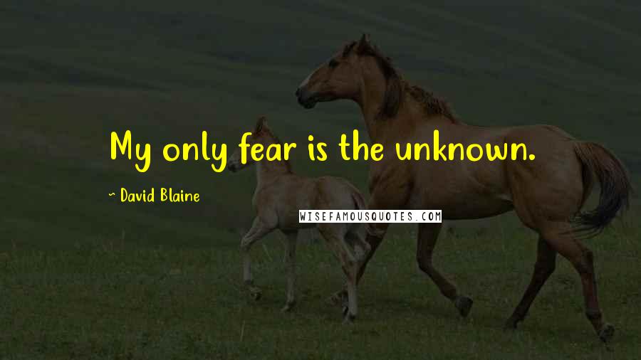 David Blaine Quotes: My only fear is the unknown.