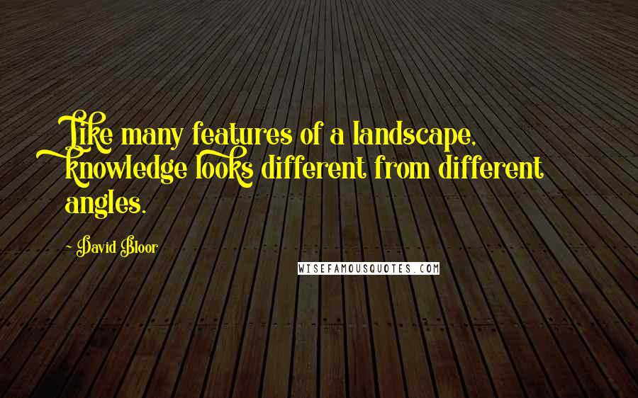 David Bloor Quotes: Like many features of a landscape, knowledge looks different from different angles.