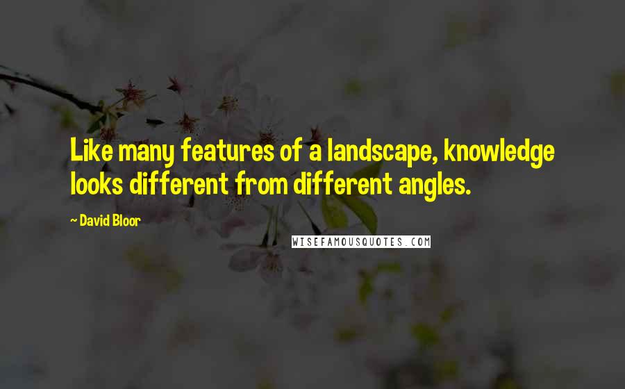 David Bloor Quotes: Like many features of a landscape, knowledge looks different from different angles.