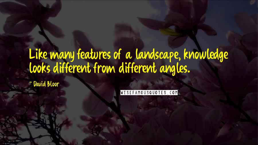 David Bloor Quotes: Like many features of a landscape, knowledge looks different from different angles.