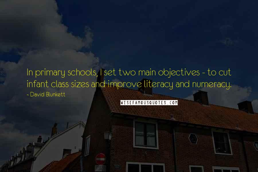 David Blunkett Quotes: In primary schools, I set two main objectives - to cut infant class sizes and improve literacy and numeracy.