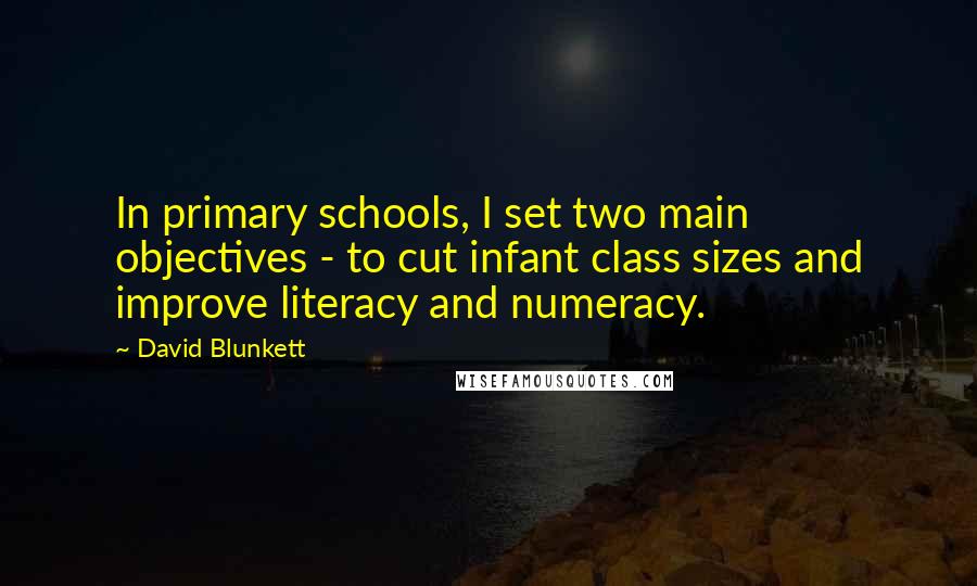 David Blunkett Quotes: In primary schools, I set two main objectives - to cut infant class sizes and improve literacy and numeracy.