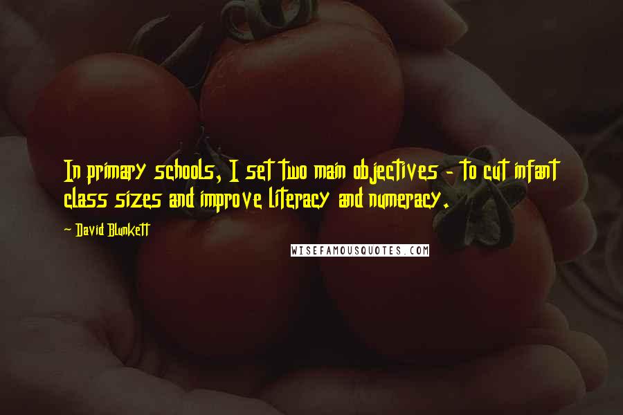 David Blunkett Quotes: In primary schools, I set two main objectives - to cut infant class sizes and improve literacy and numeracy.