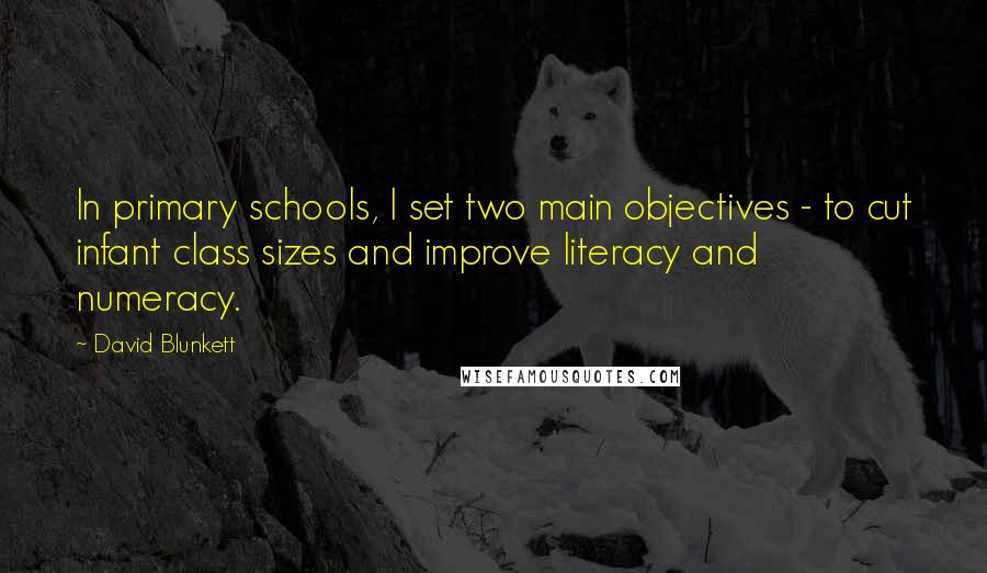 David Blunkett Quotes: In primary schools, I set two main objectives - to cut infant class sizes and improve literacy and numeracy.