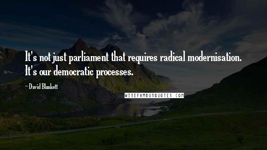 David Blunkett Quotes: It's not just parliament that requires radical modernisation. It's our democratic processes.