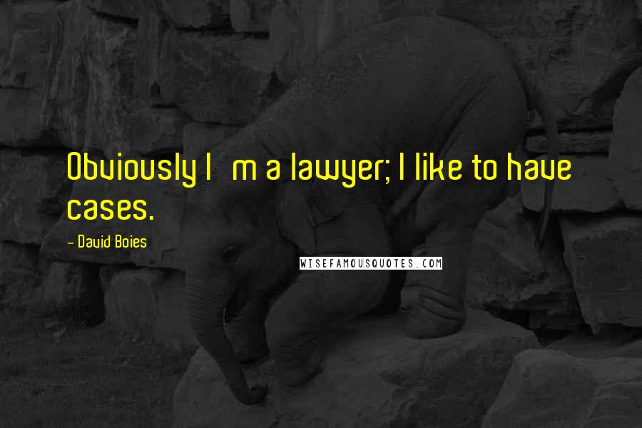 David Boies Quotes: Obviously I'm a lawyer; I like to have cases.