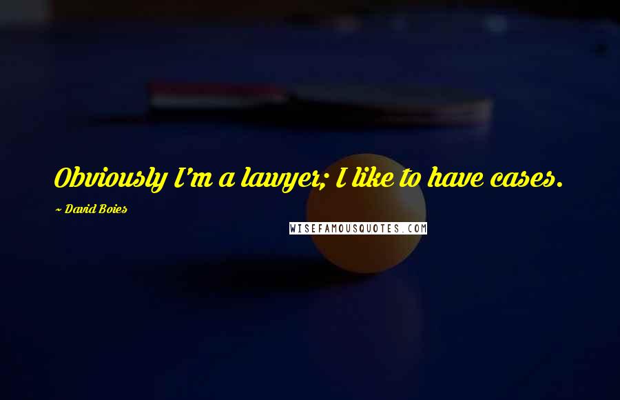 David Boies Quotes: Obviously I'm a lawyer; I like to have cases.