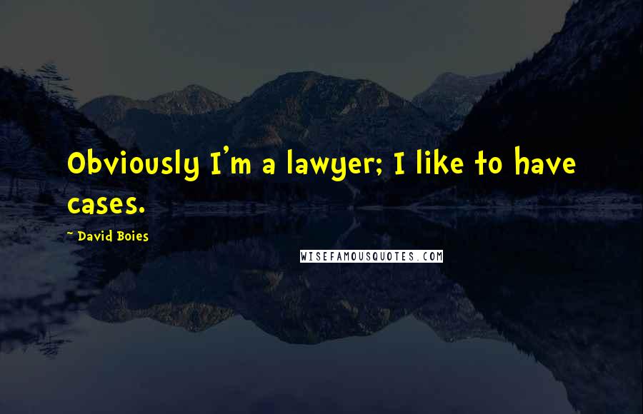 David Boies Quotes: Obviously I'm a lawyer; I like to have cases.