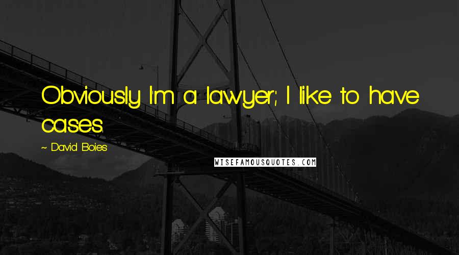David Boies Quotes: Obviously I'm a lawyer; I like to have cases.
