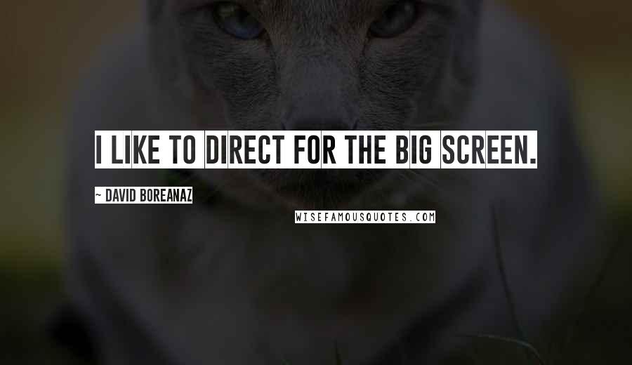 David Boreanaz Quotes: I like to direct for the big screen.