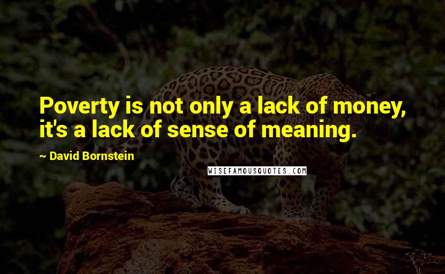 David Bornstein Quotes: Poverty is not only a lack of money, it's a lack of sense of meaning.