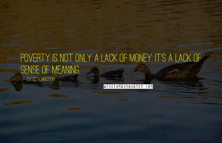 David Bornstein Quotes: Poverty is not only a lack of money, it's a lack of sense of meaning.