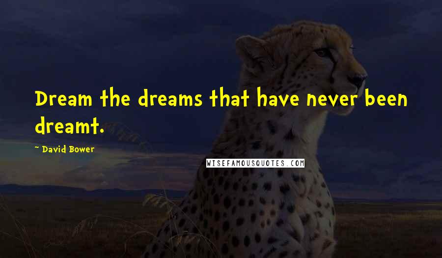 David Bower Quotes: Dream the dreams that have never been dreamt.