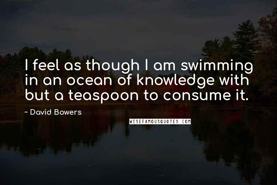David Bowers Quotes: I feel as though I am swimming in an ocean of knowledge with but a teaspoon to consume it.